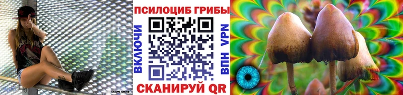Псилоцибиновые грибы Cubensis  Купить где  Семёнов 